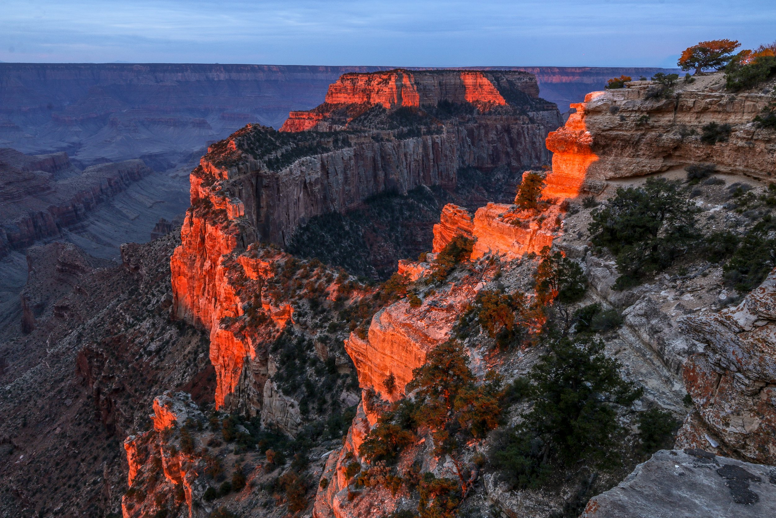 Happy New Year - A Look Back and a Look Ahead — Miles 2 Go