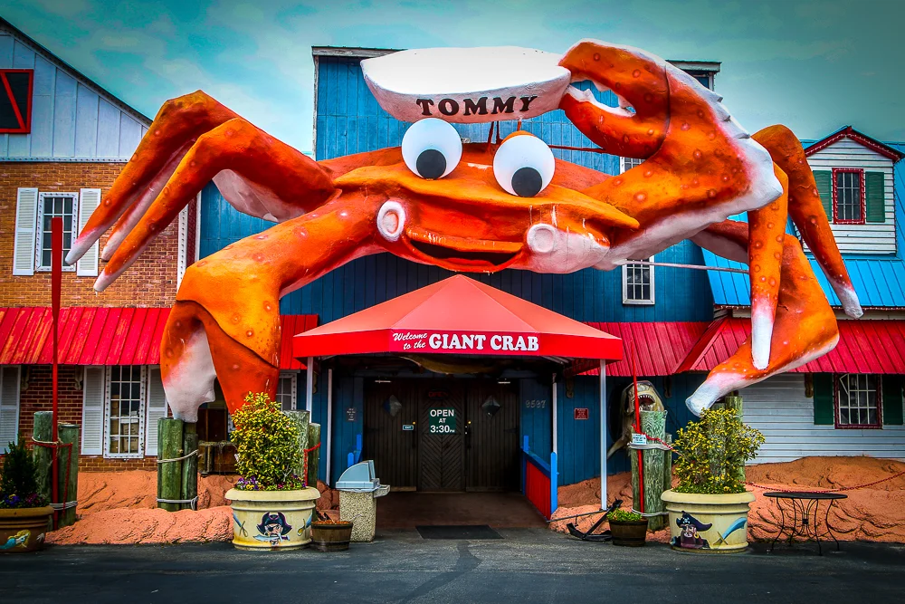 Snapshots - The Best of the Worst of Myrtle Beach