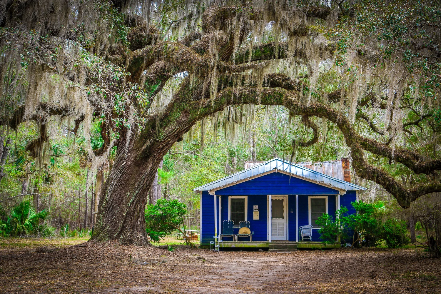 The Swamp Fox, The Mighty Peanut and The Greatest Treasure Ever Found