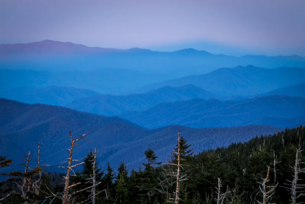 In Focus: Great Smoky Mountains National Park 