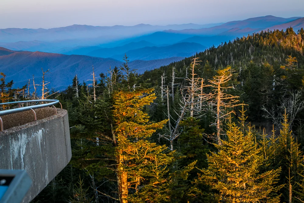 Rocky Top, Monkey Town and the King of the Wild Frontier