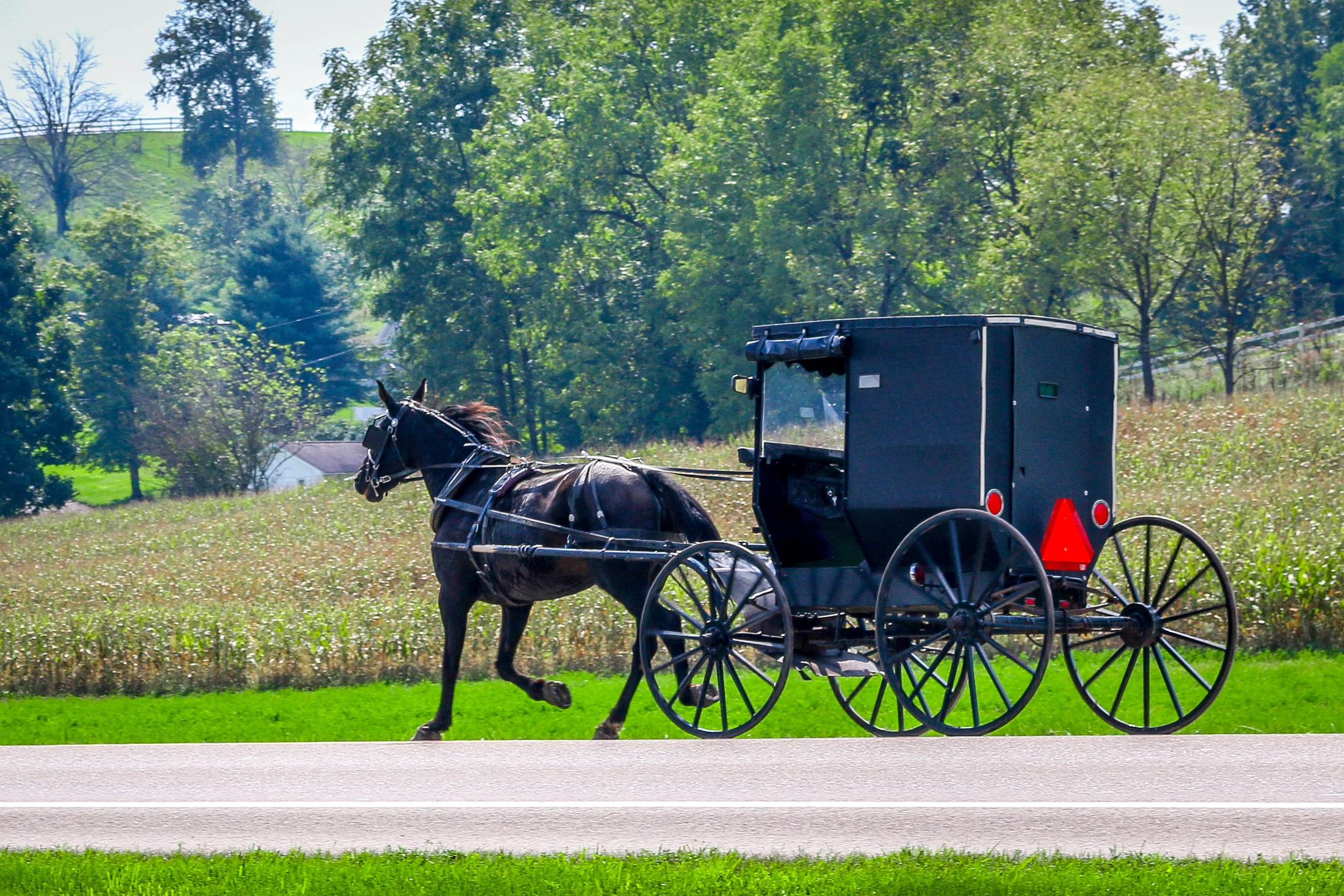 Snapshots: Ohio's Amish Country
