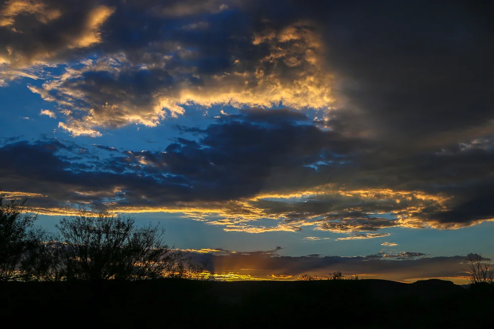 A Miracle in Lexington