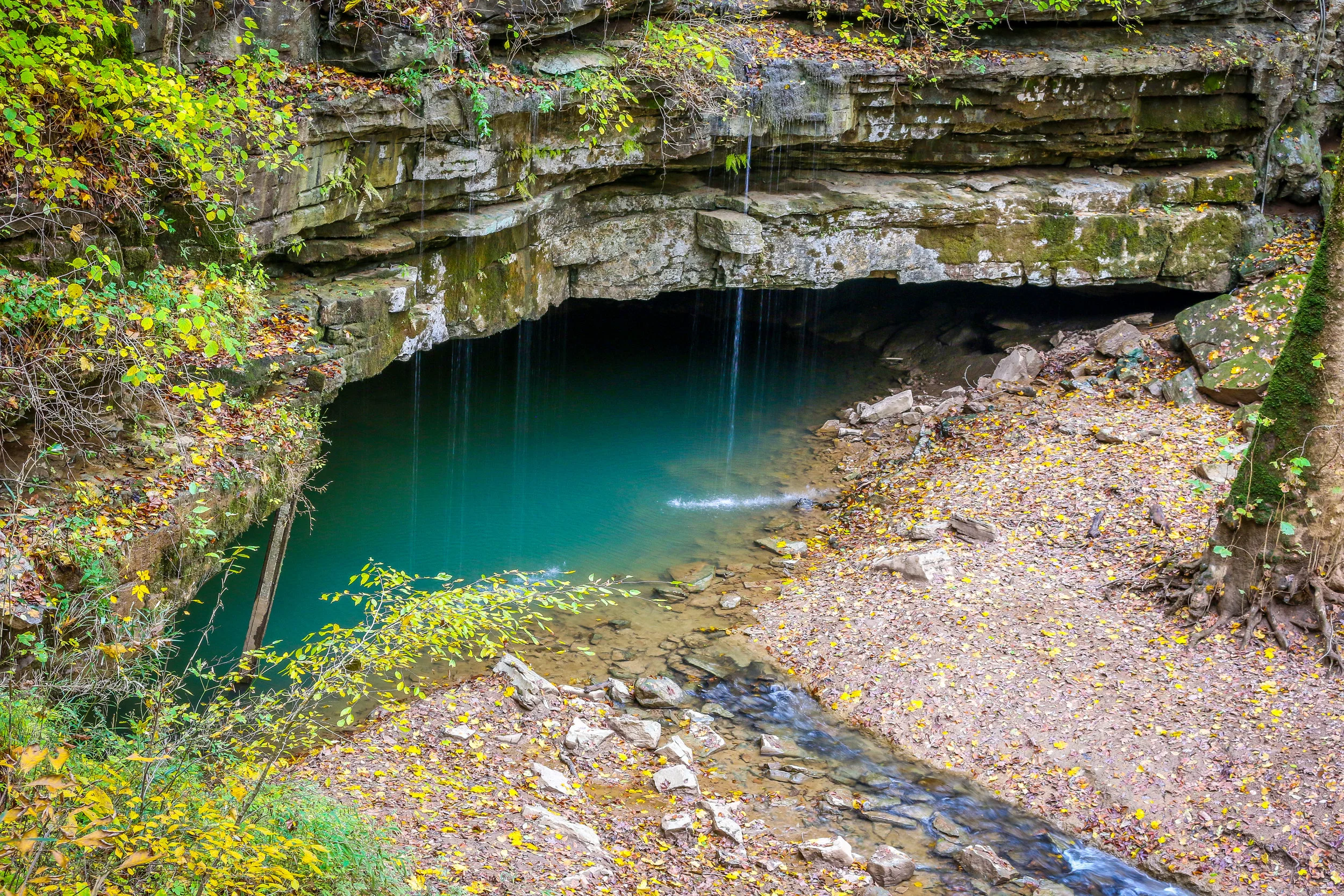 In Focus: Mammoth Cave National Park