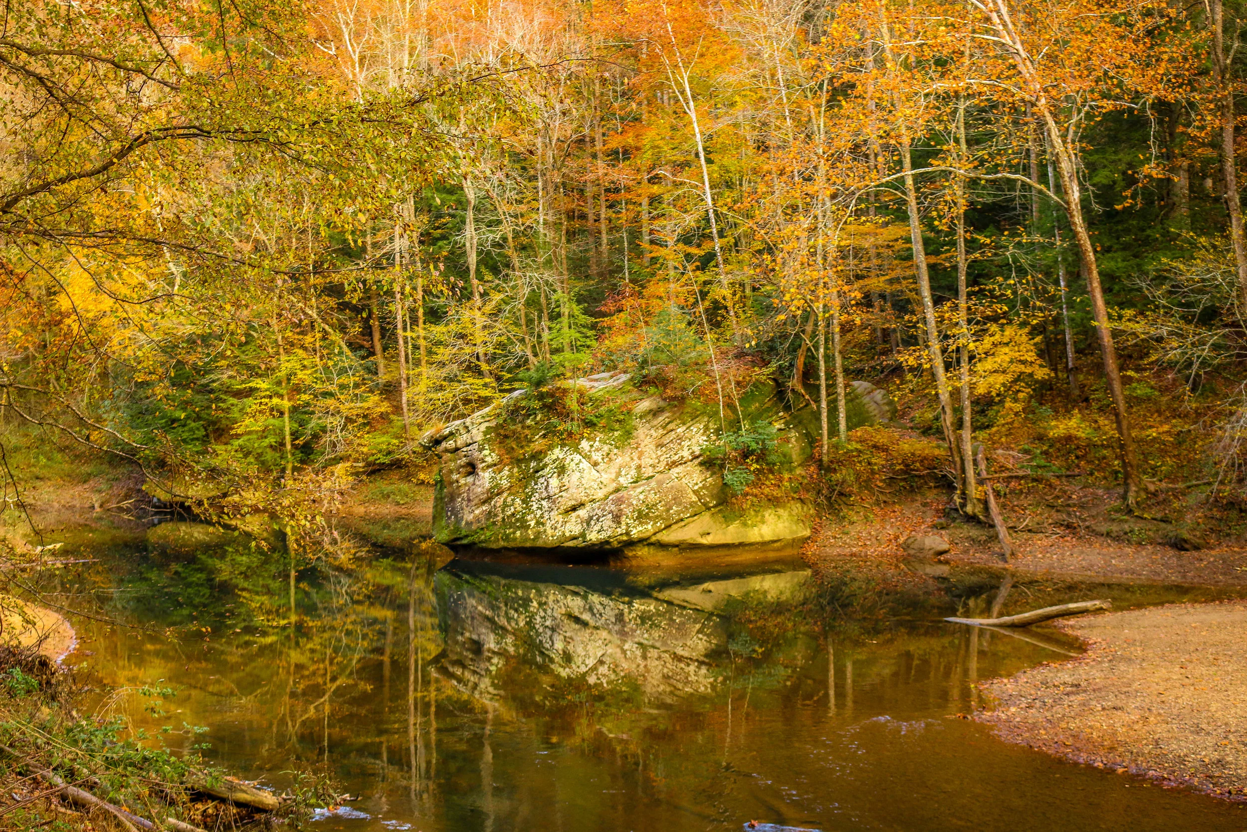 Snapshots: Red River Gorge