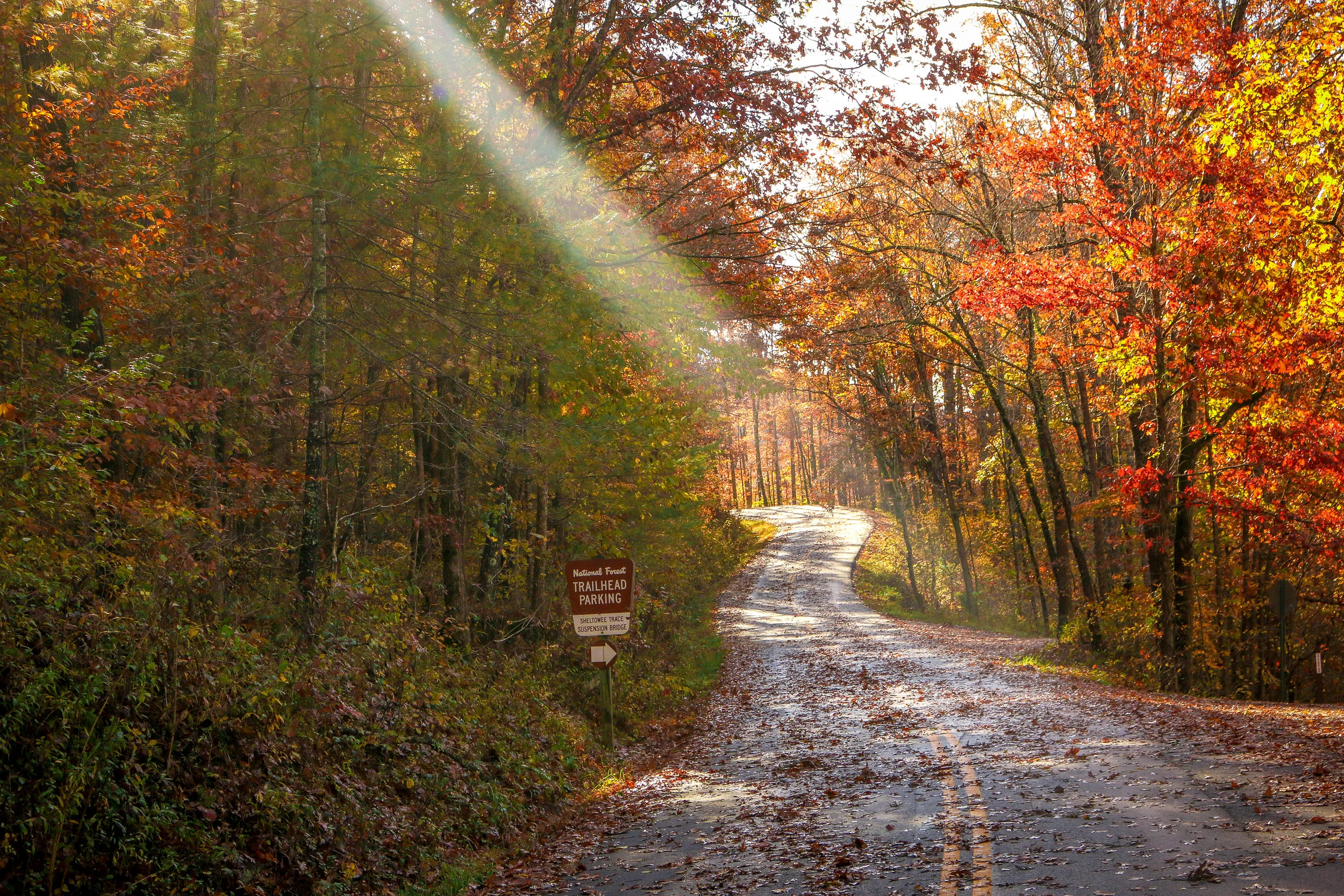 My Month in Kentucky