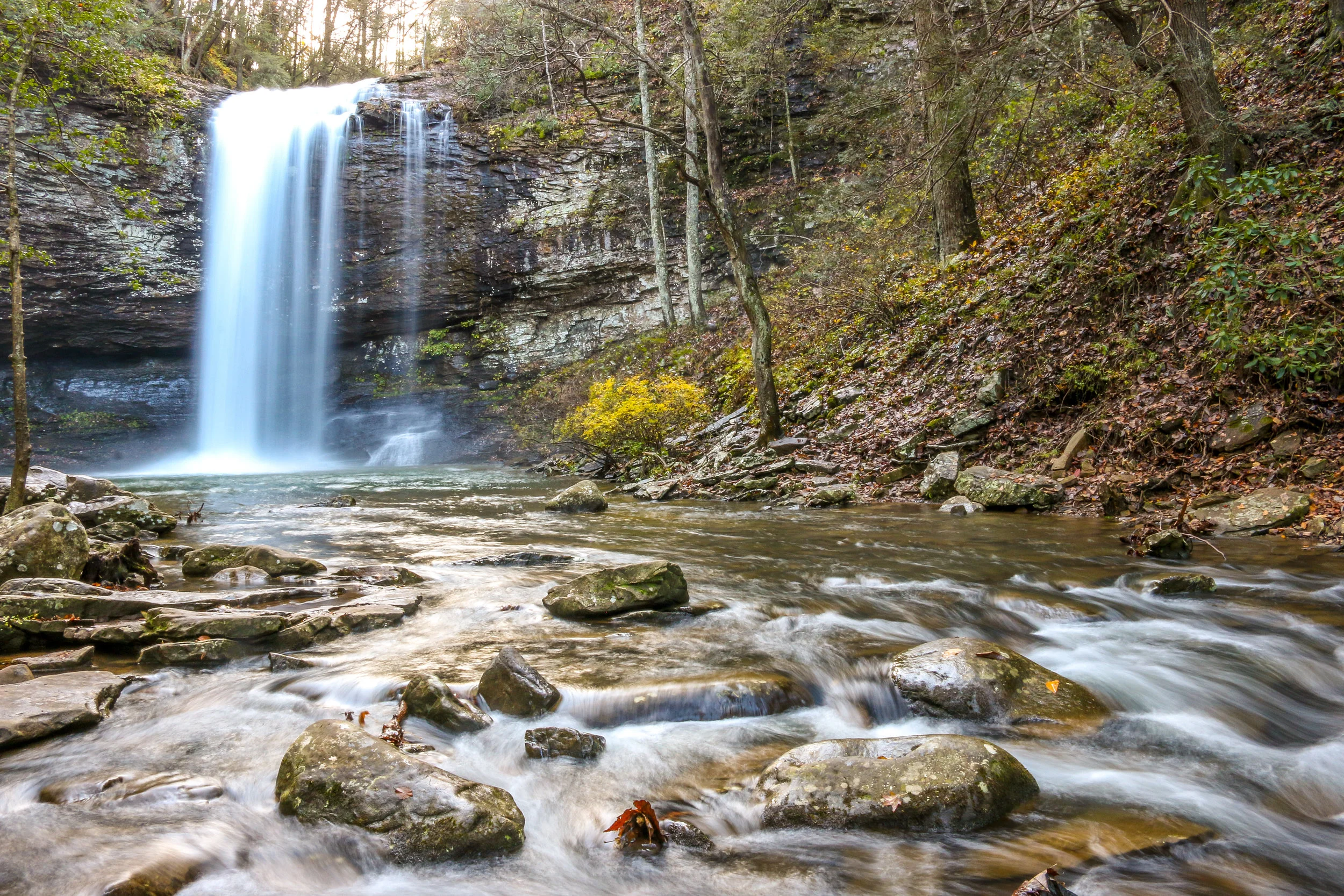 Snapshots Cloudland Canyon — Miles 2 Go