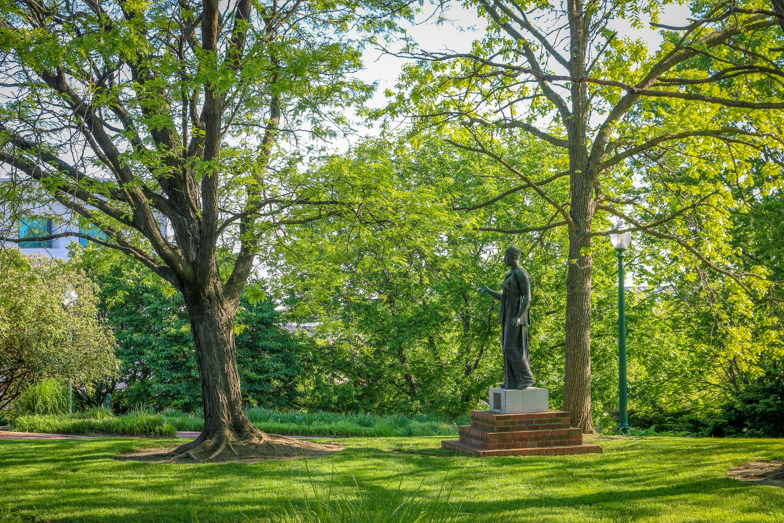 D.C. Chronicles Volume 7