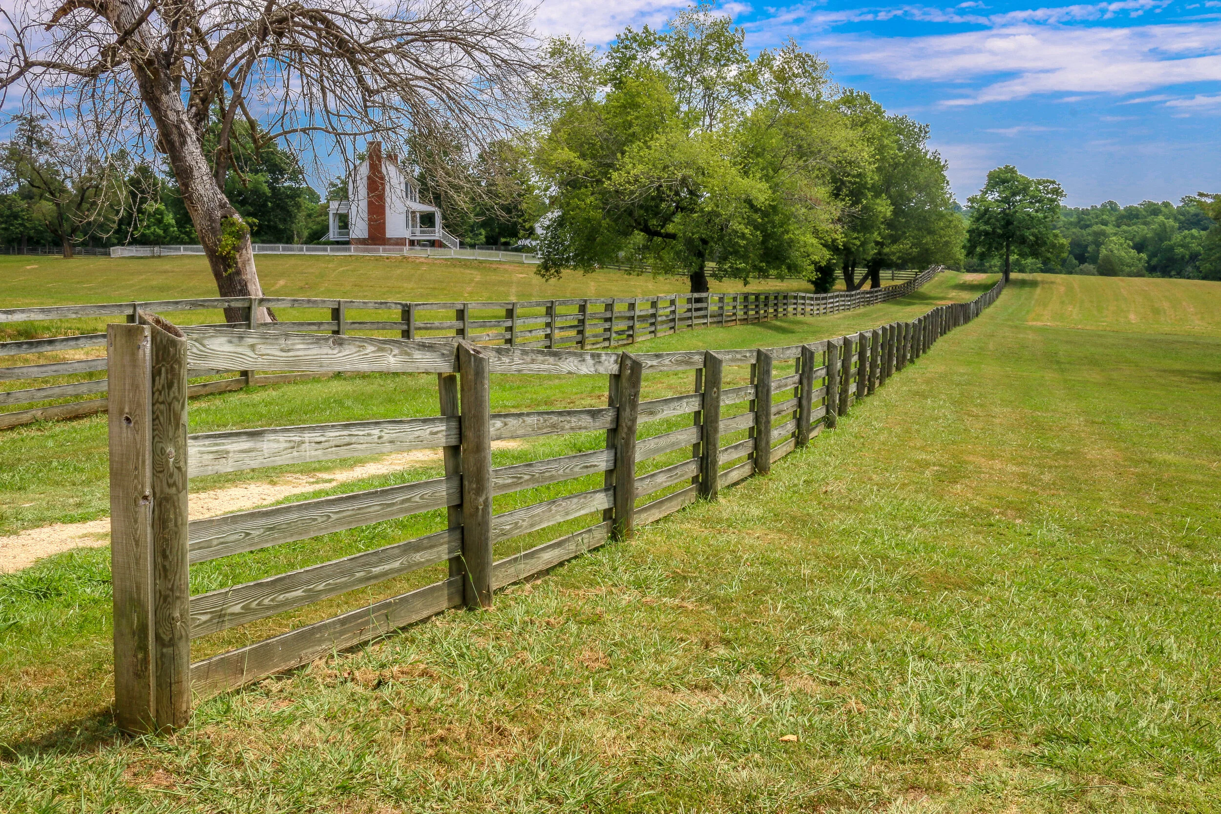 D.C. Chronicles Volume 17