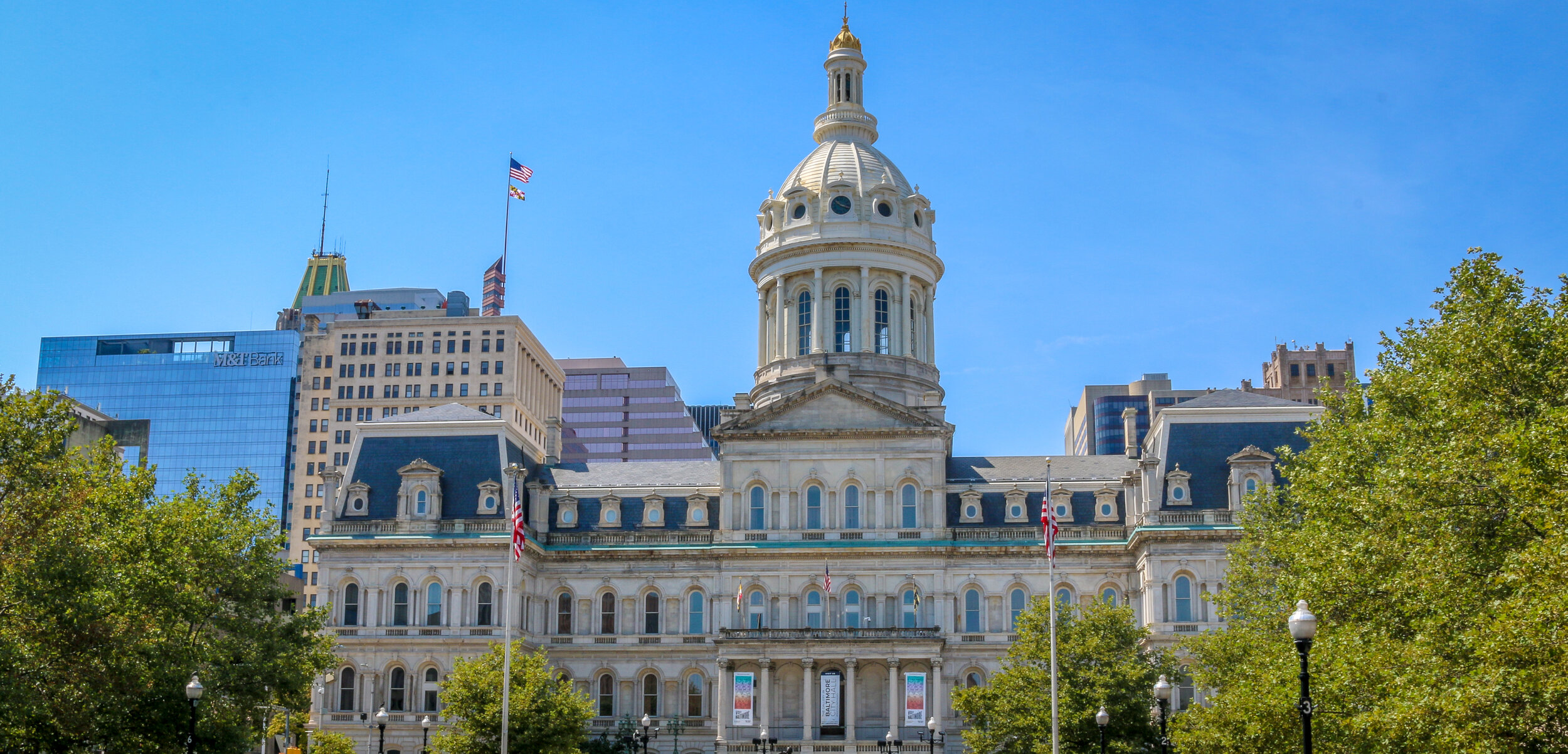 D.C. Chronicles Volume 24