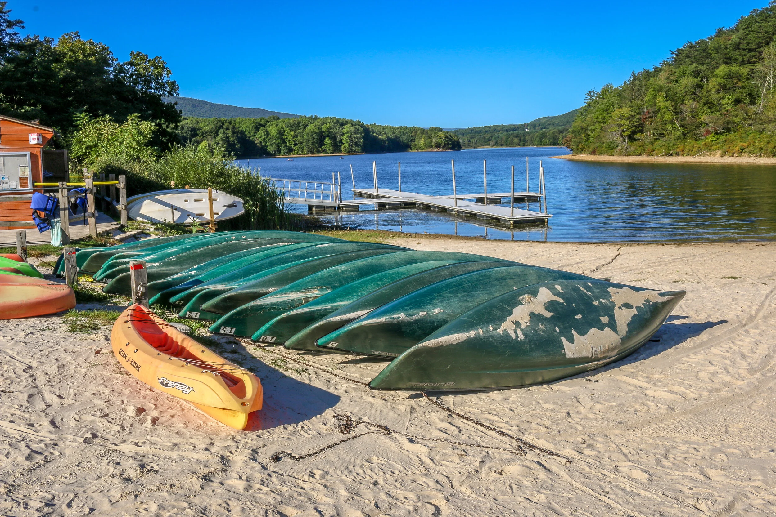 D.C. Chronicles Volume 26