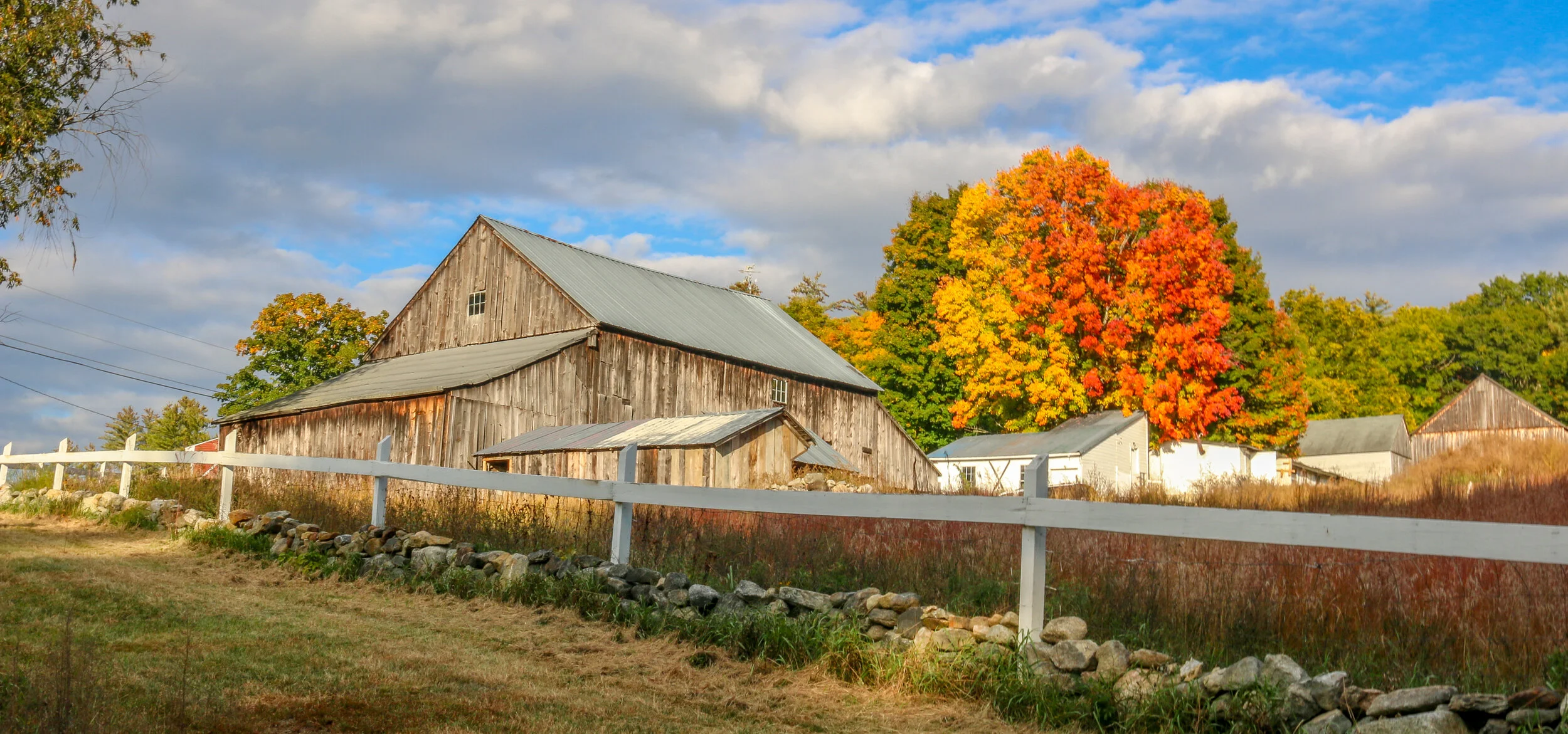Snapshots: Fall in New Hampshire (Part One)