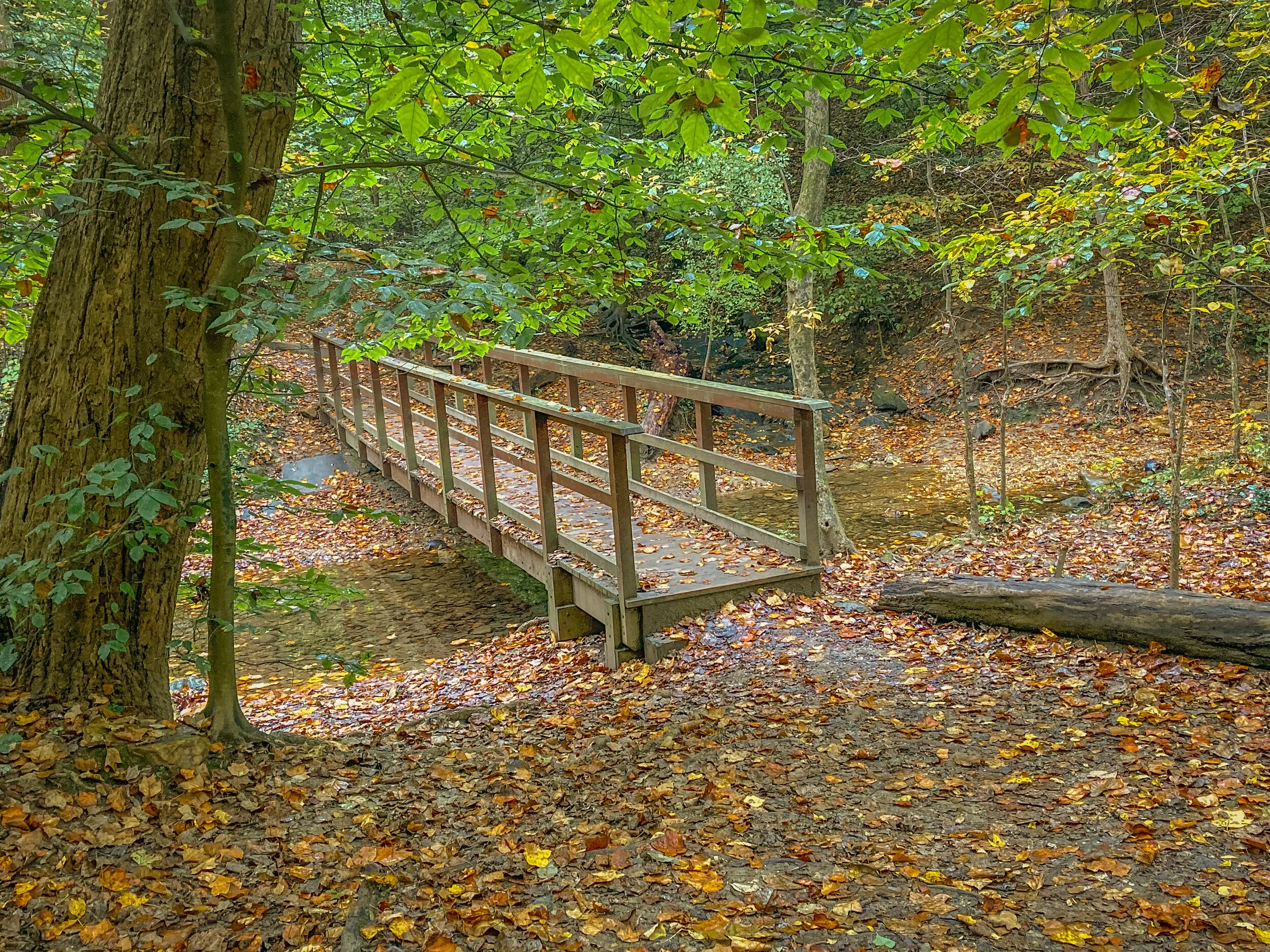 D.C. Chronicles Volume 29