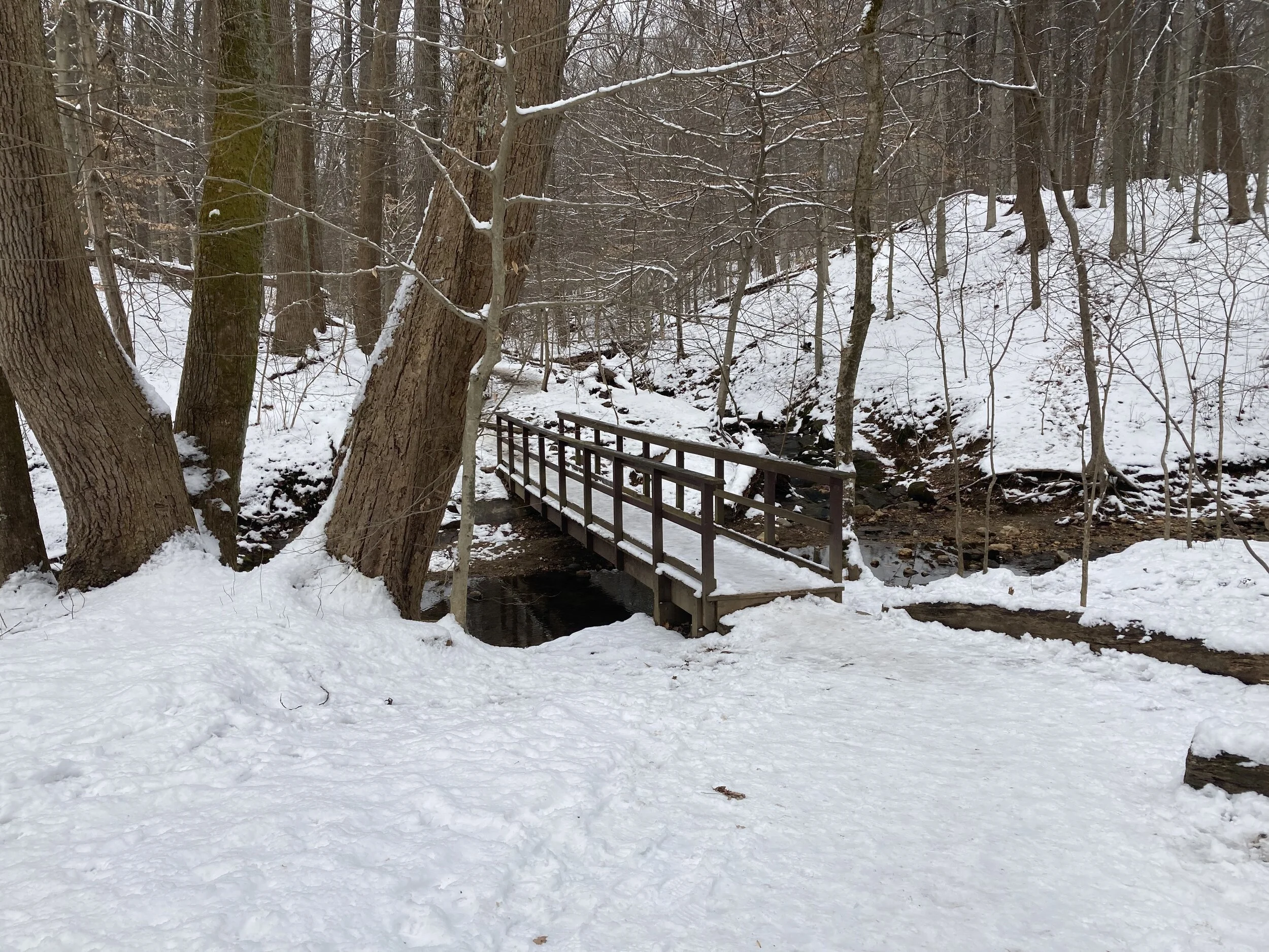 D.C. Chronicles Volume 43