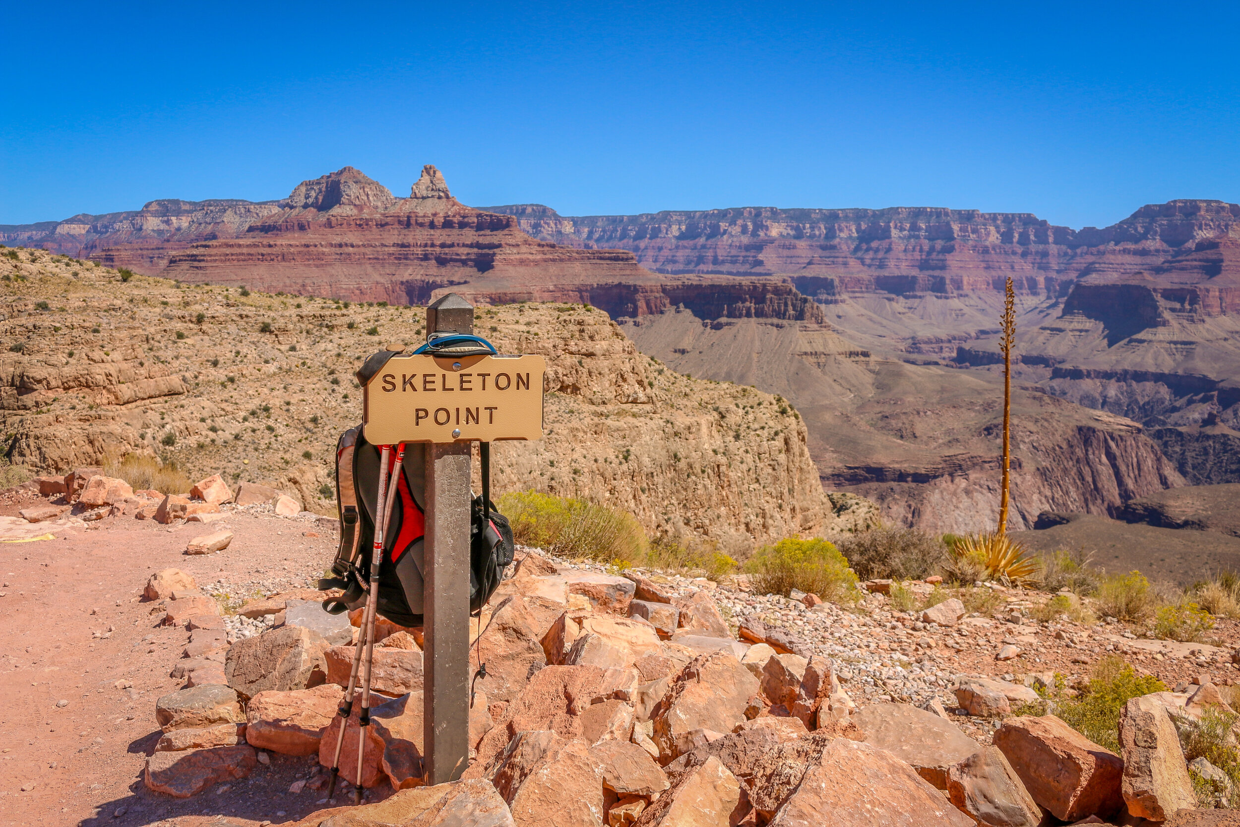 In Focus: Grand Canyon National Park — Miles 2 Go