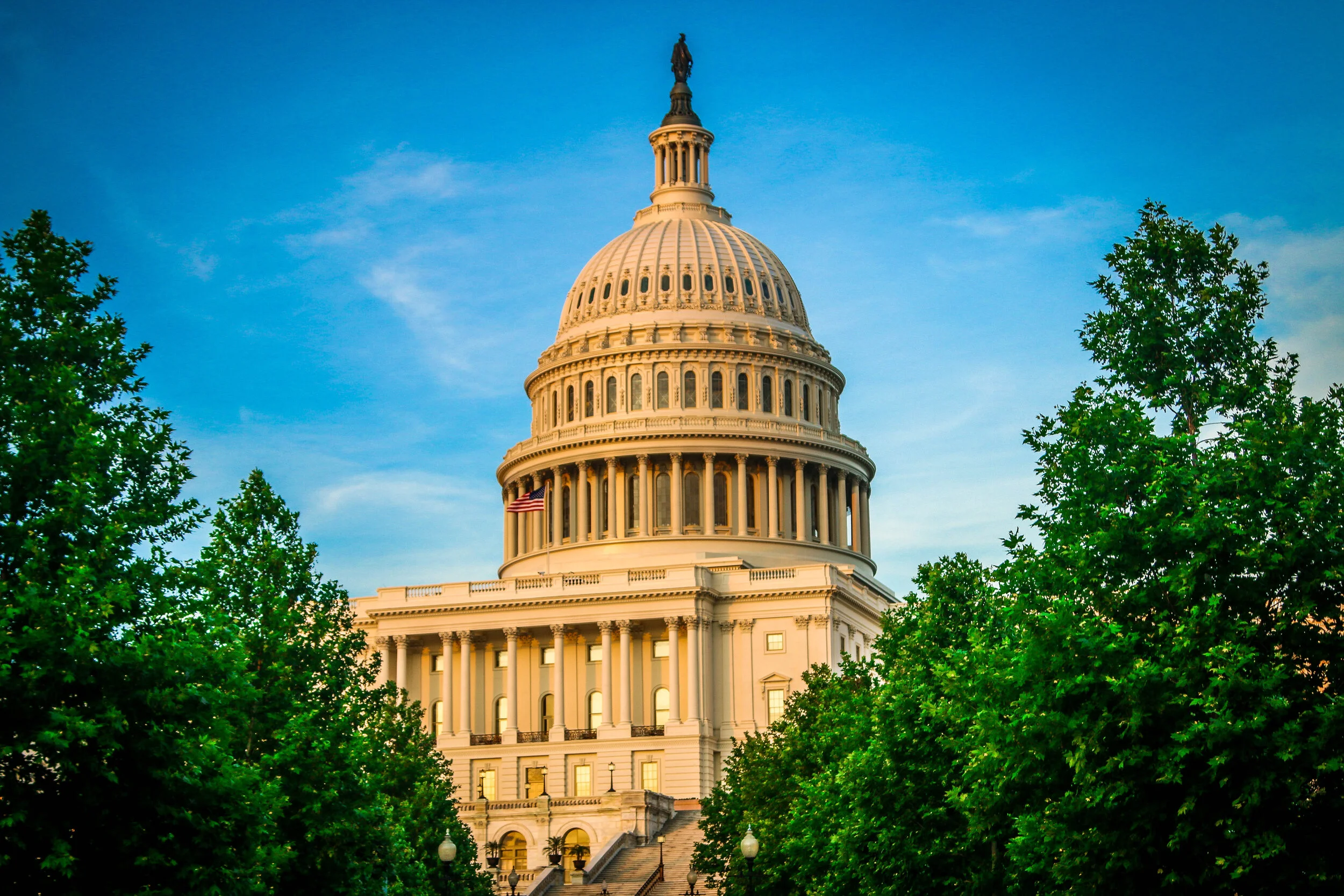 The Beautiful U.S. Capitol