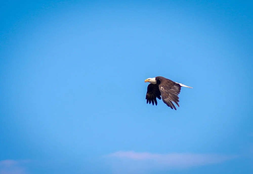 IMG_1878.JPG