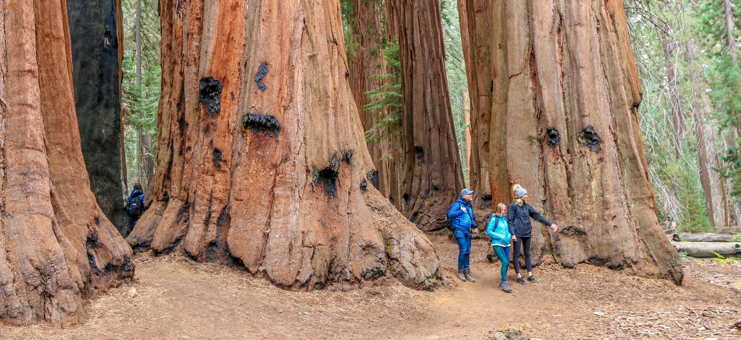 An Update from Home - December 13th