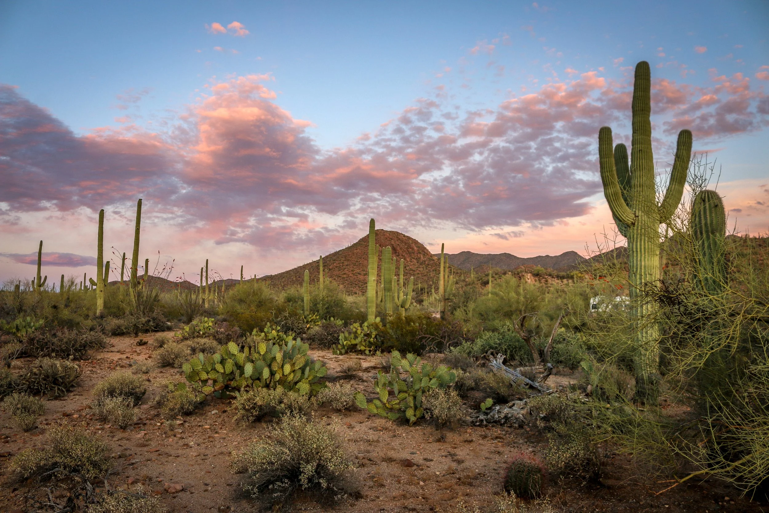 saguaro trail running