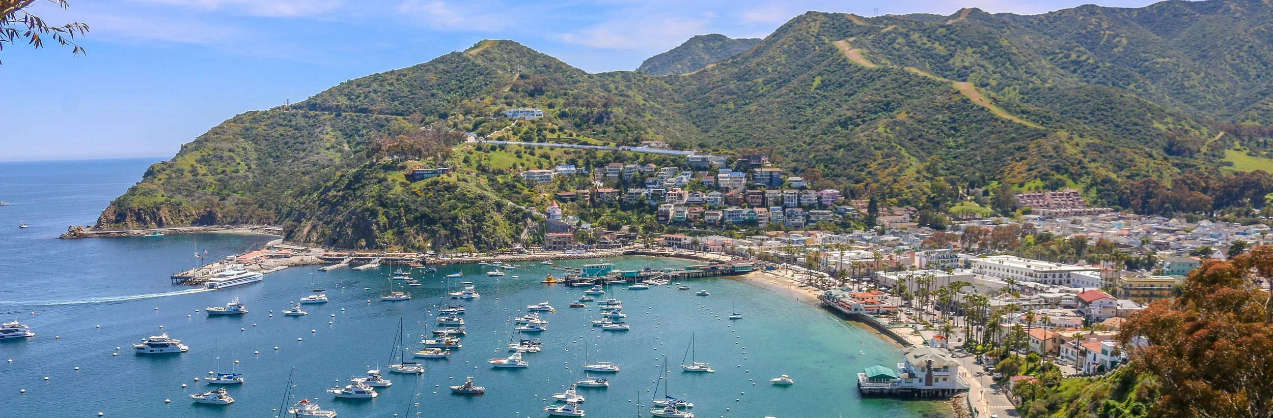 Snapshots: Avalon - The Jewel of Catalina
