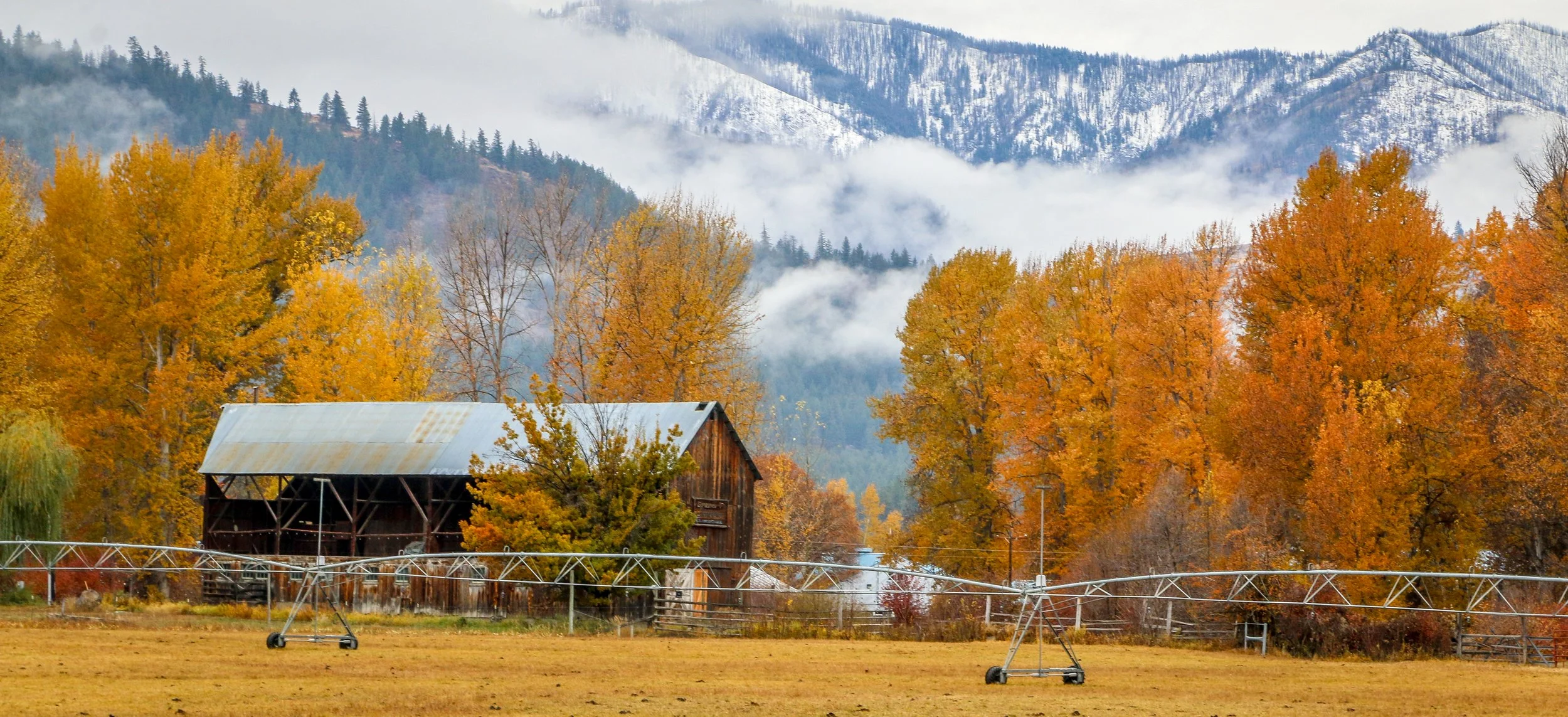 This Week on the Road - October 28th-November 5th