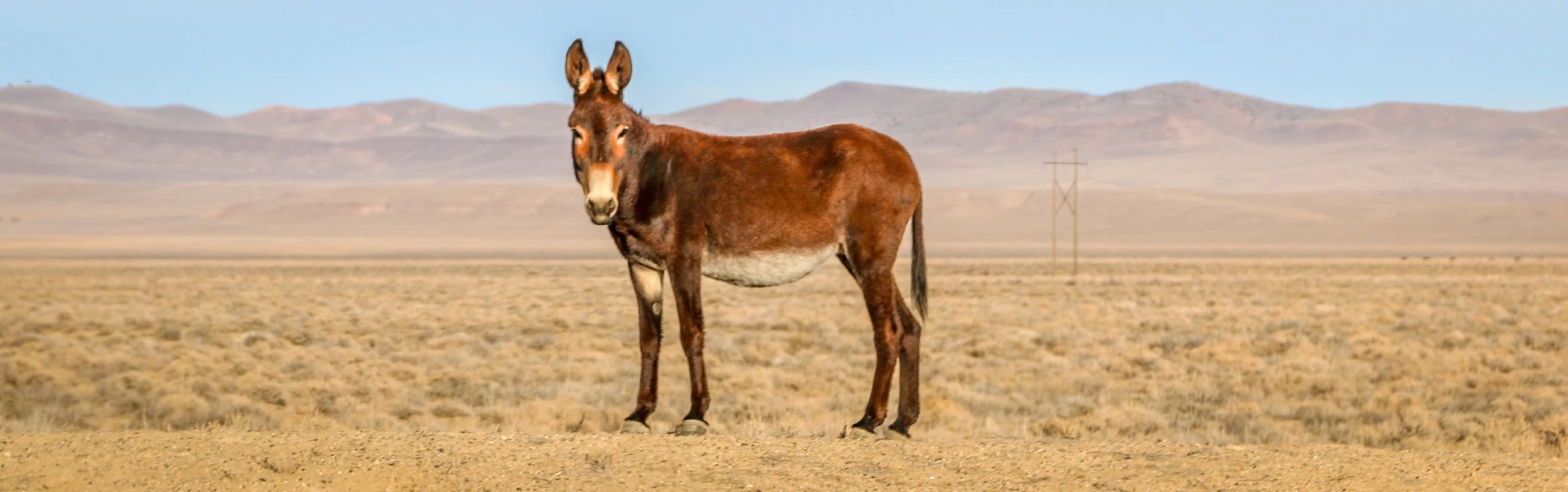 Snapshots: Route 50 - The Loneliest Road in America