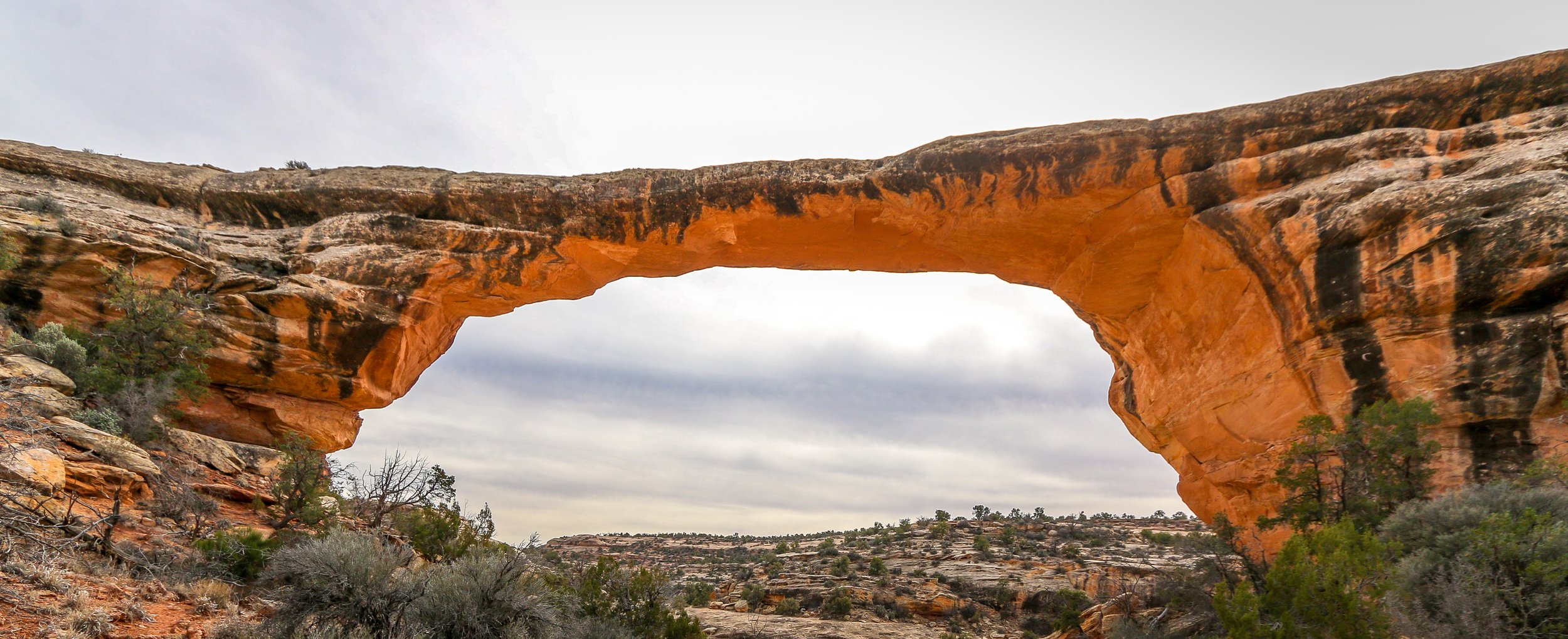 In Focus: Natural Bridges National Monument