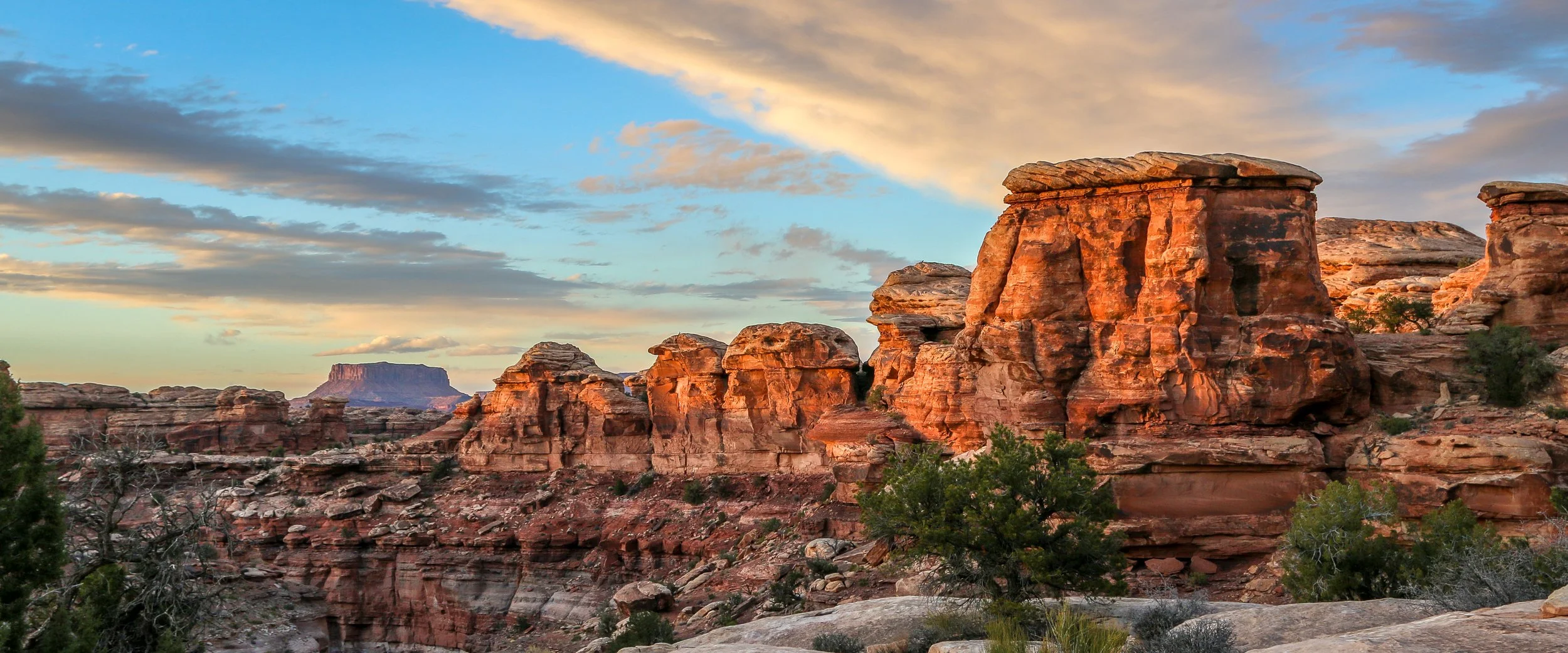 This Week on the Road - March 5th-11th