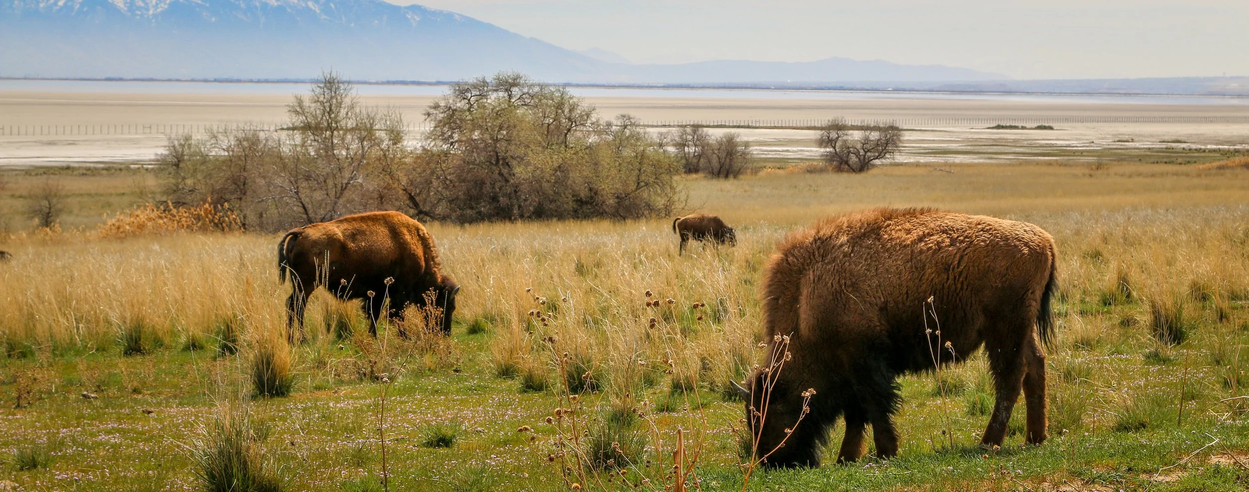 This Week on the Road - March 26th-April 1st