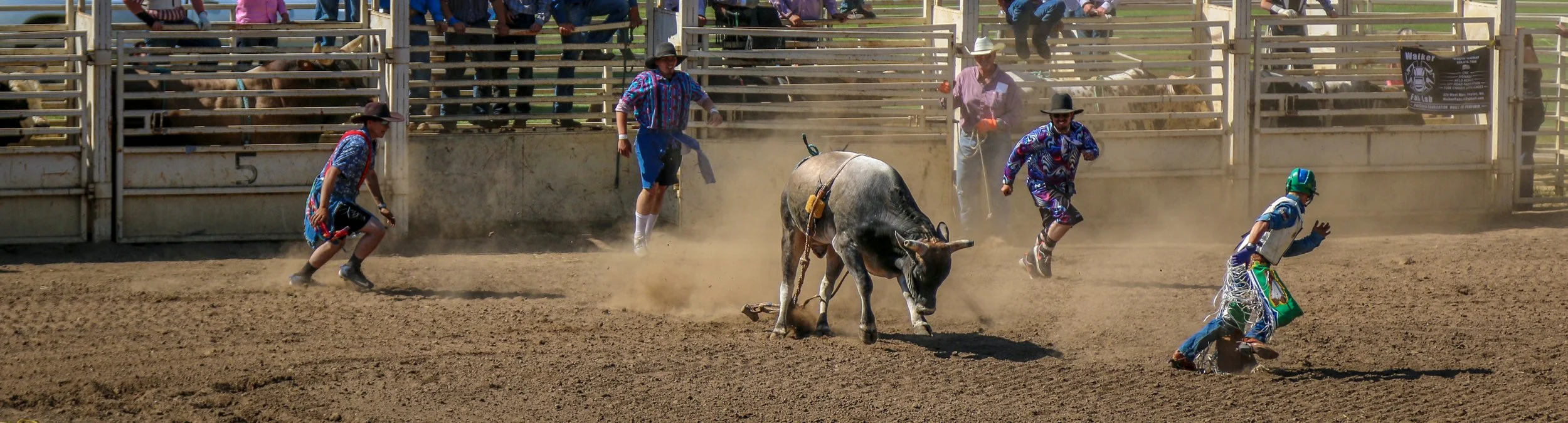 Snapshots: Dayton Days Rodeo - Bull Riding and Barrel Racing