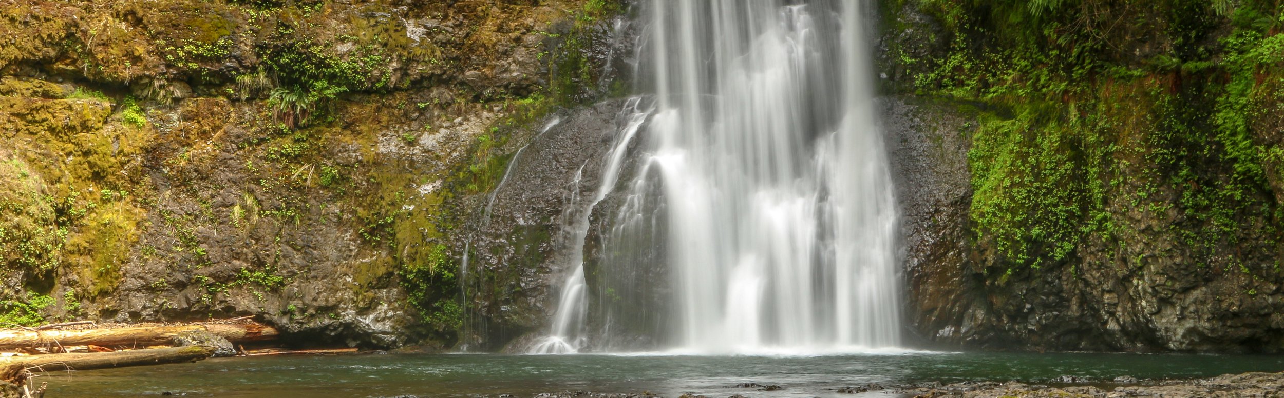 Snapshots: Silver Falls State Park