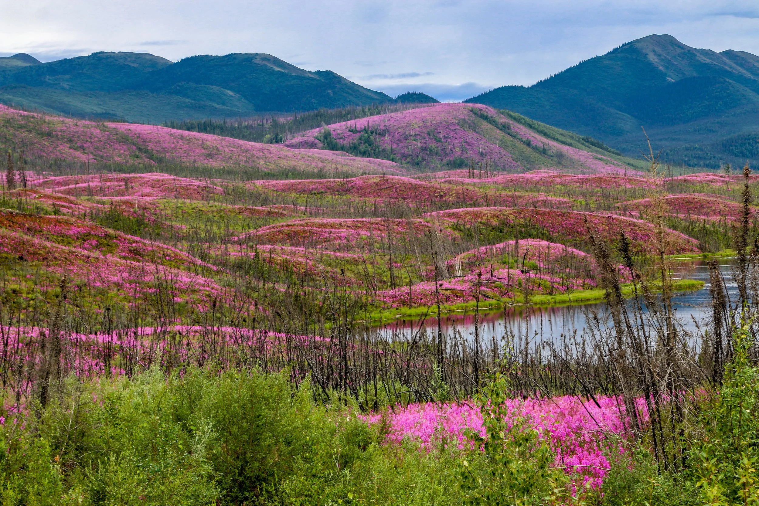 Hello From Alaska — Miles 2 Go