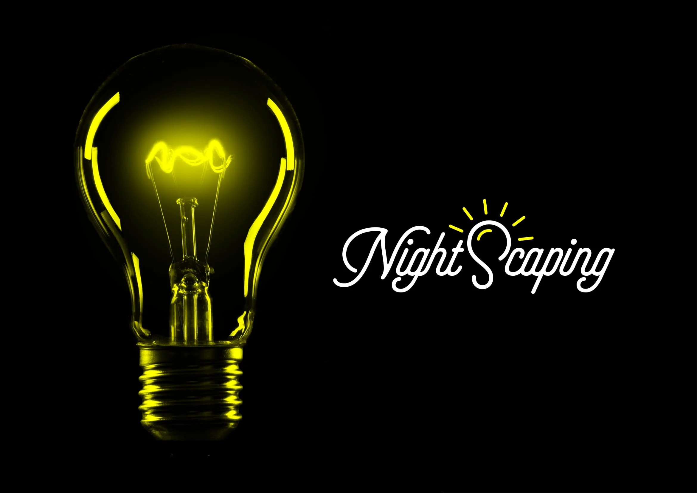 PREZ LOGO NIGHTSCAPING-04.jpg