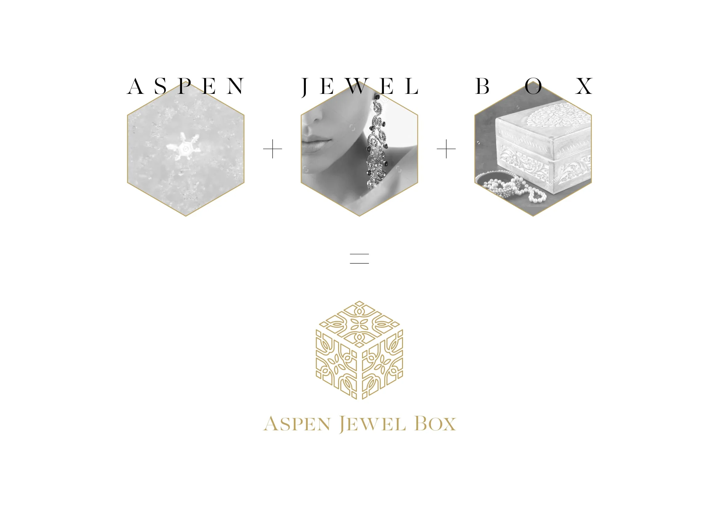 PREZ LOGOS ASPEN JEWEL BOX-05.jpg