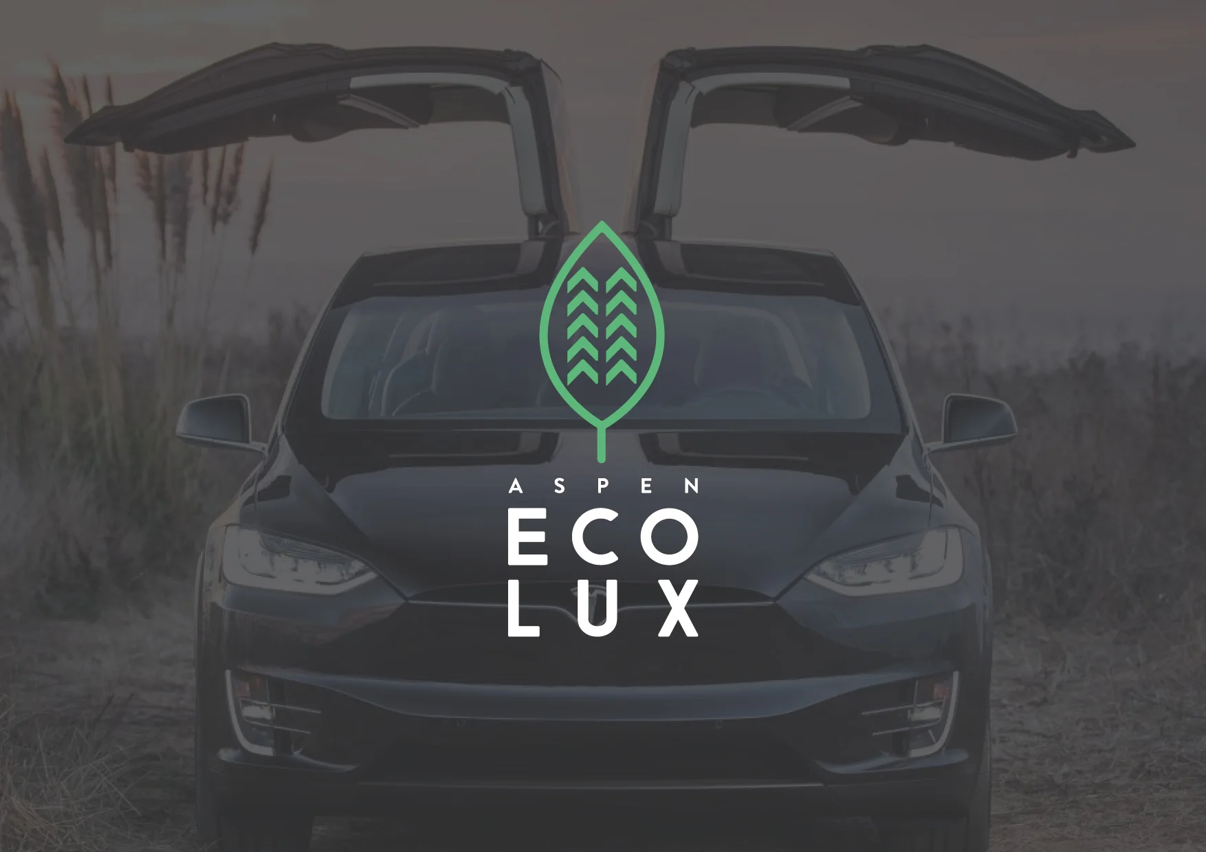 PREZ LOGOS ECOLUX6.jpg