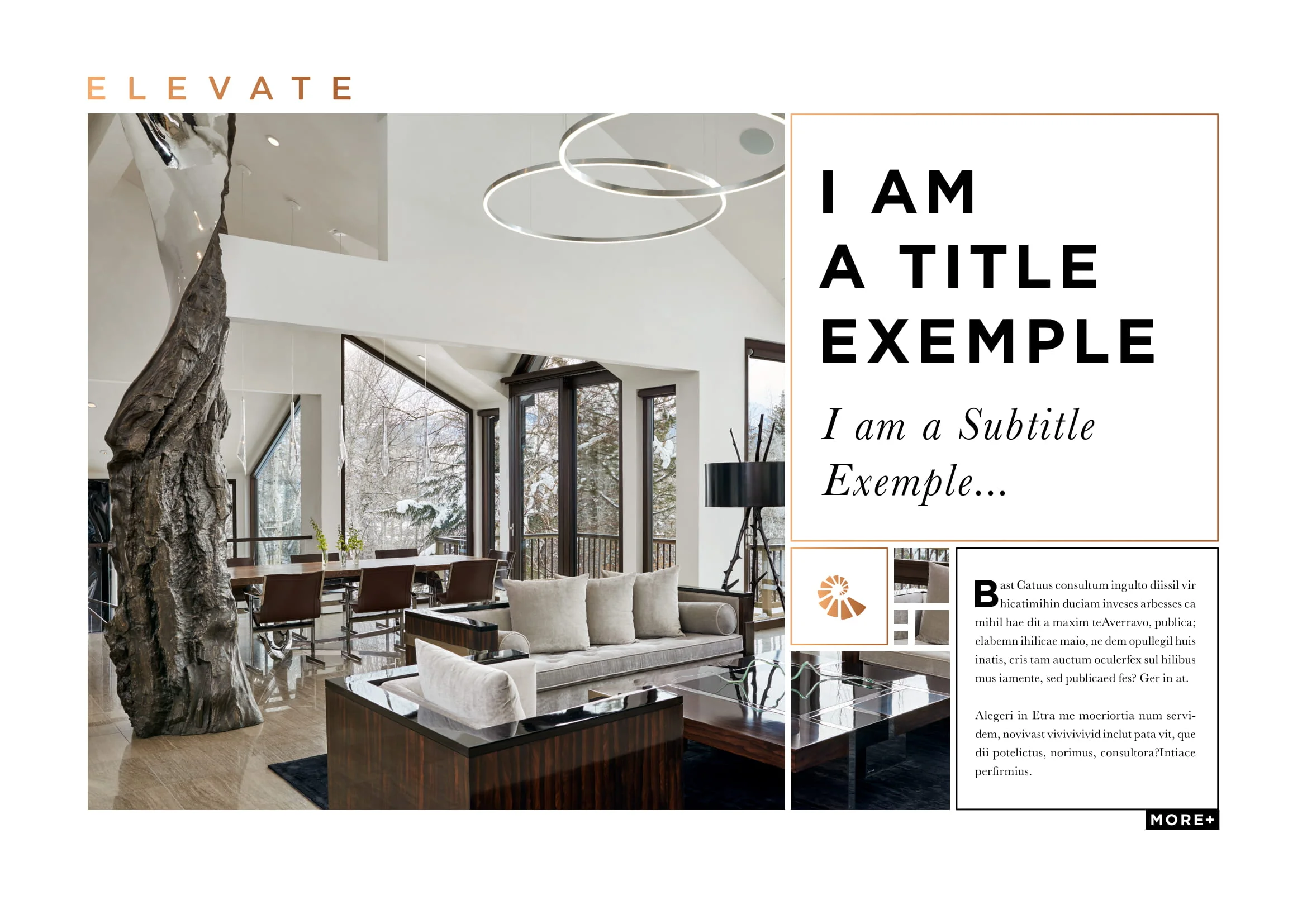 PREZ LOGOS ELEVATE 1.2-20.jpg