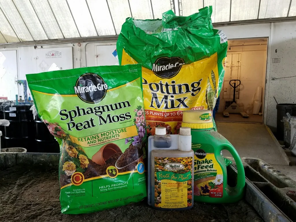 turfgrass.jpg