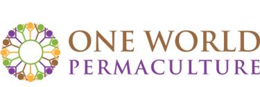 one-world.png