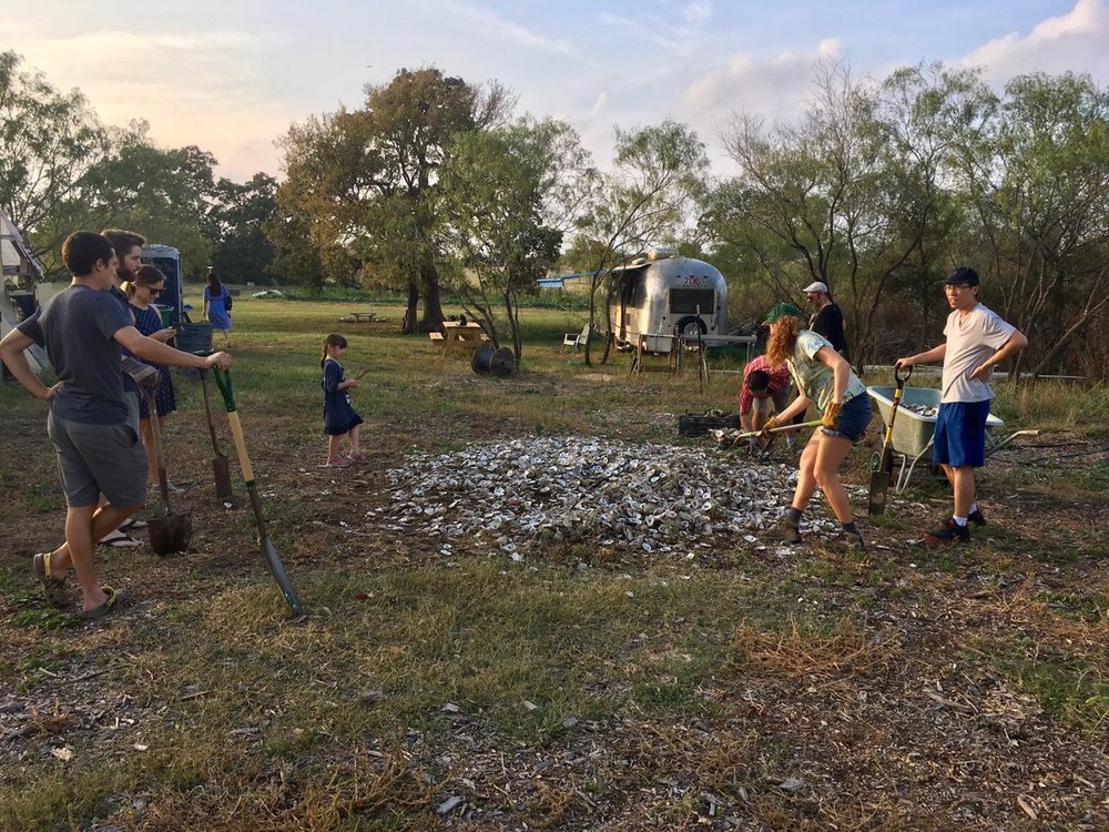 Shoveling Shells