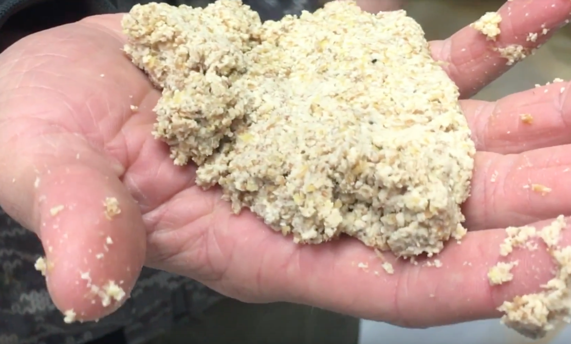 Spent Grain - SW.png
