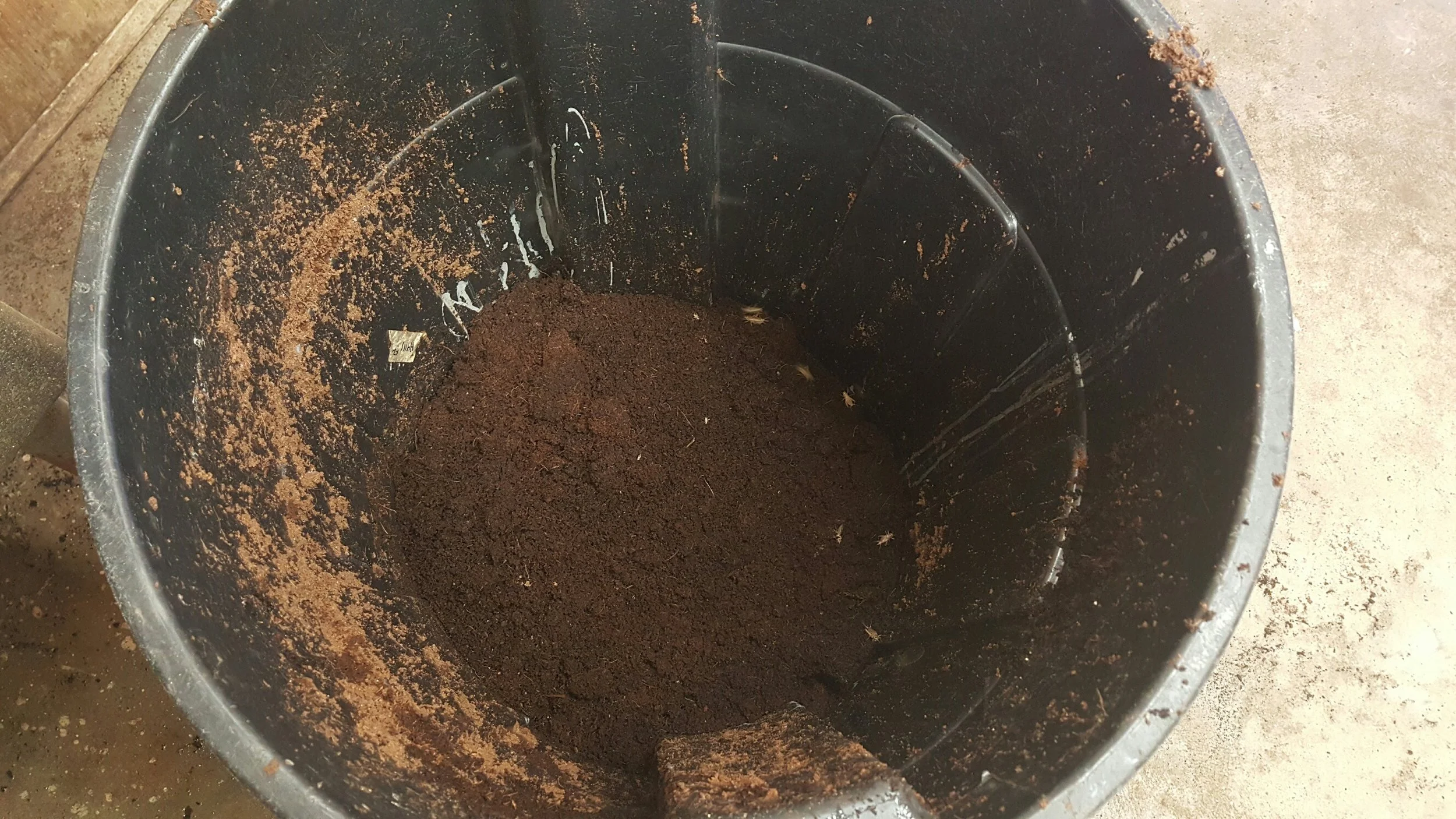 Coconut Coir and Peat Moss.jpg