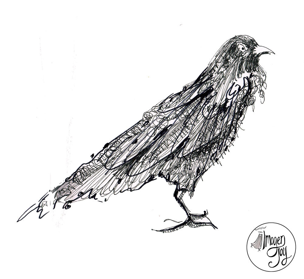 The Cunning Crow - FIneline Pen