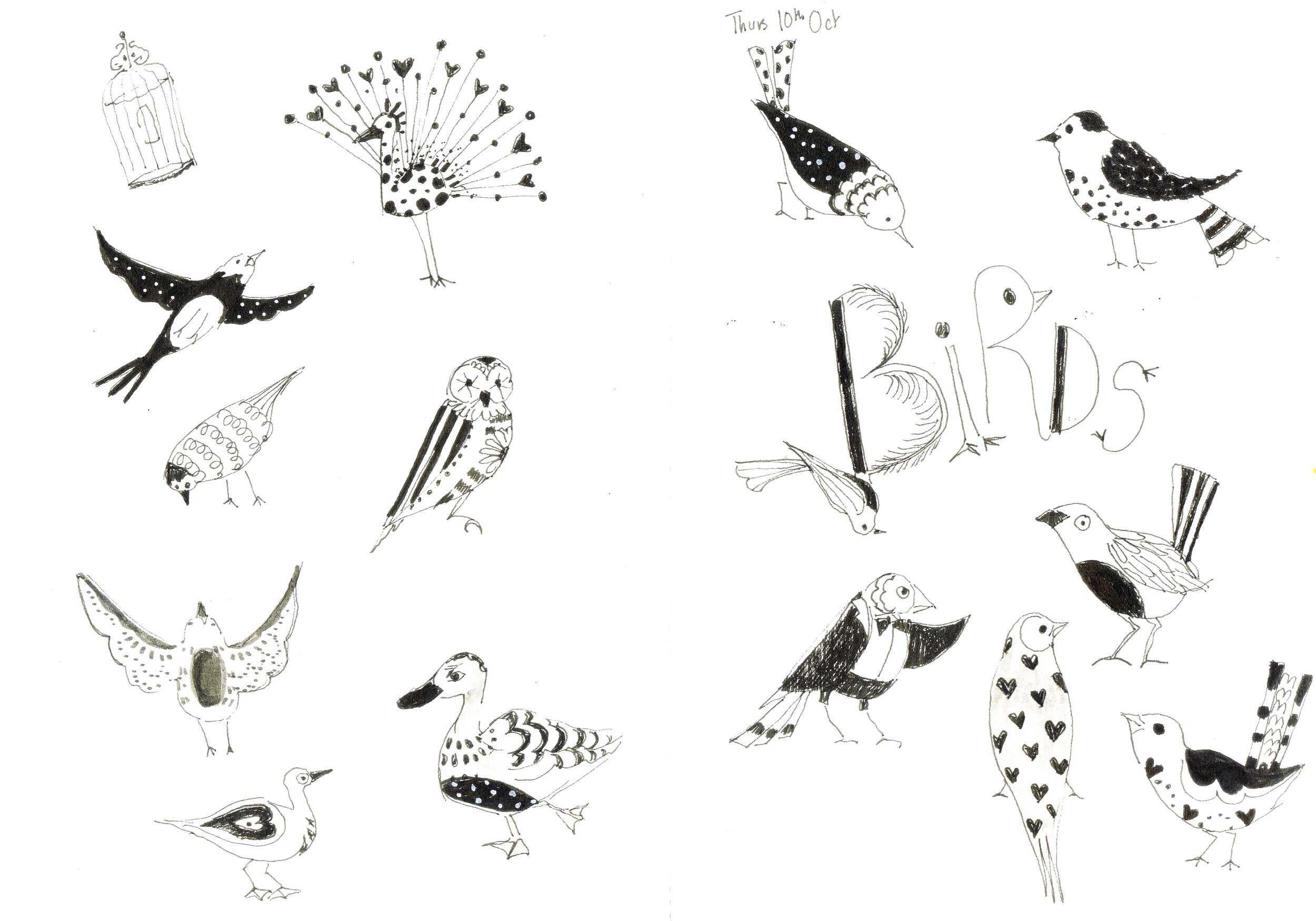Bird Studies - Fineline Pen