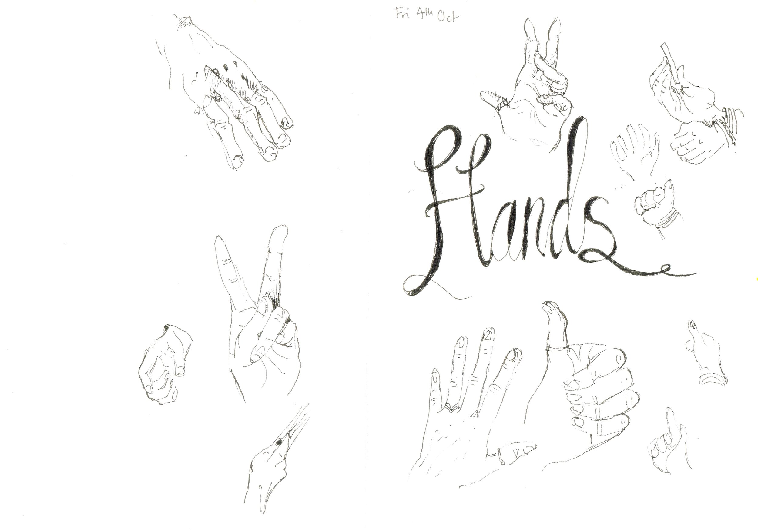 Hand Studies - Fineline Pen