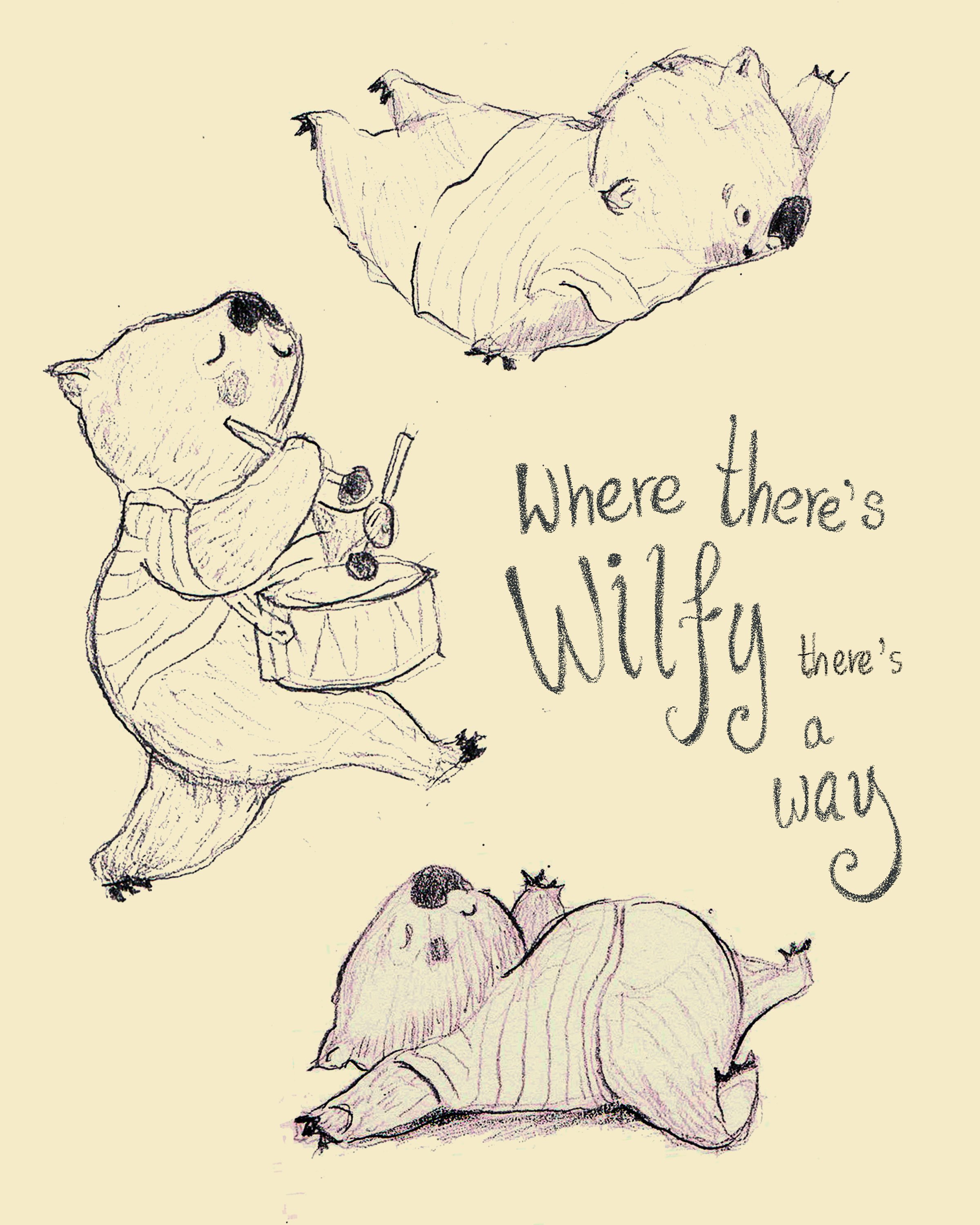 Wilfy-pencil--sketches.jpg