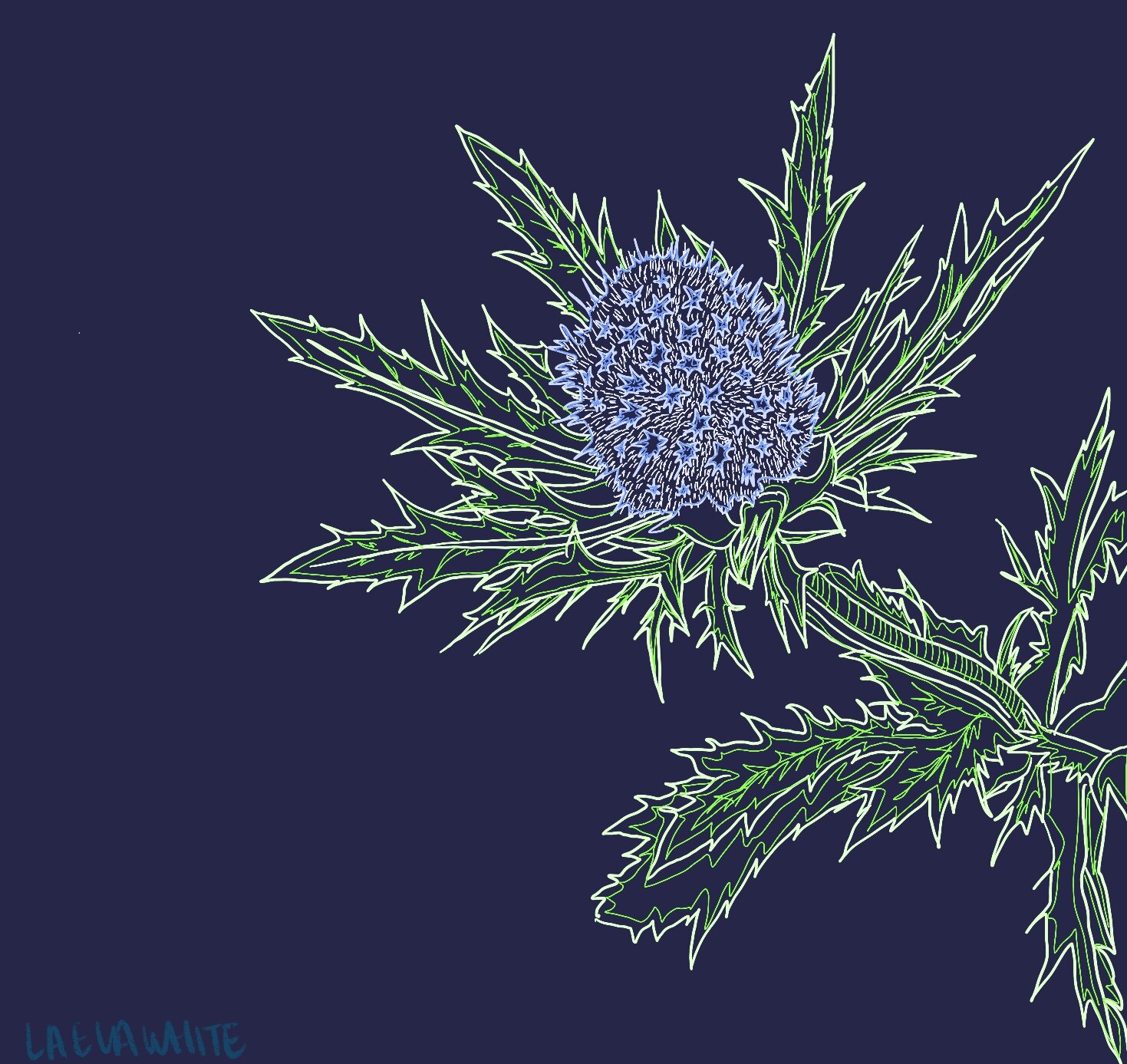 Untitled_Artwork 12.jpeg