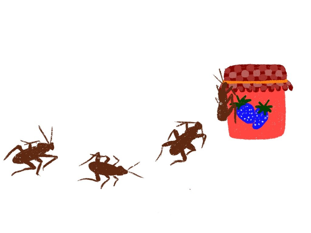 Untitled_Artwork.jpeg