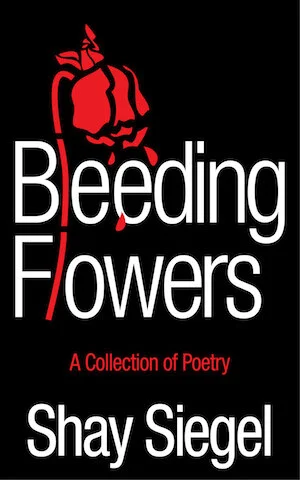 BF e-book cover sized.jpg