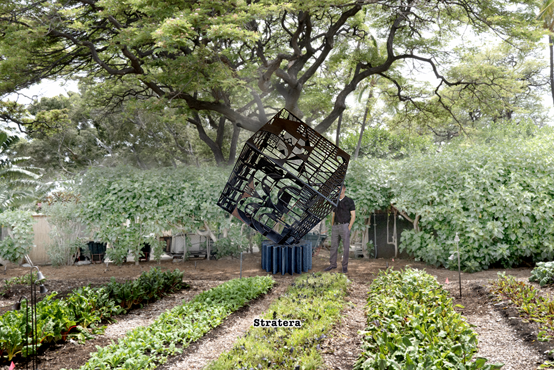 stratera in the garden.png