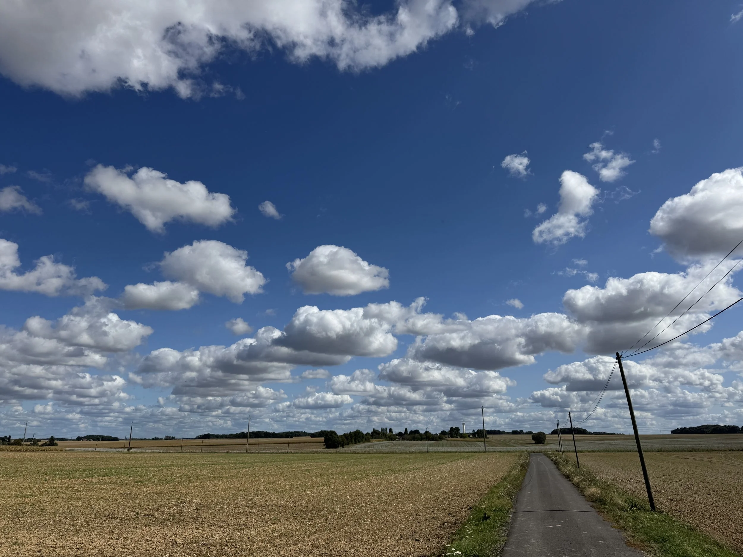 IMG_2732.jpeg